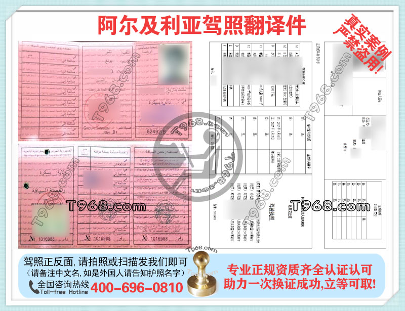 阿尔及利亚驾照
